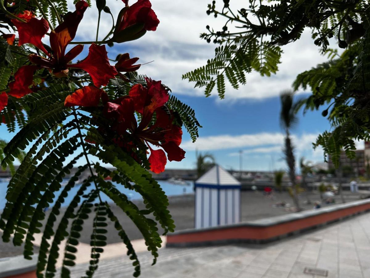 Magnificent And New Apartment In Playa San Juan 吉亚德索拉 外观 照片